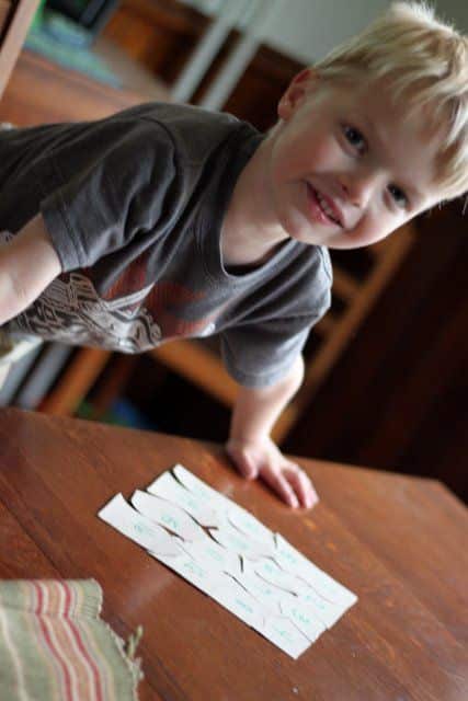 Cereal Box Puzzles