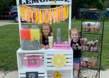 DIY Lemonade Stand in Summer