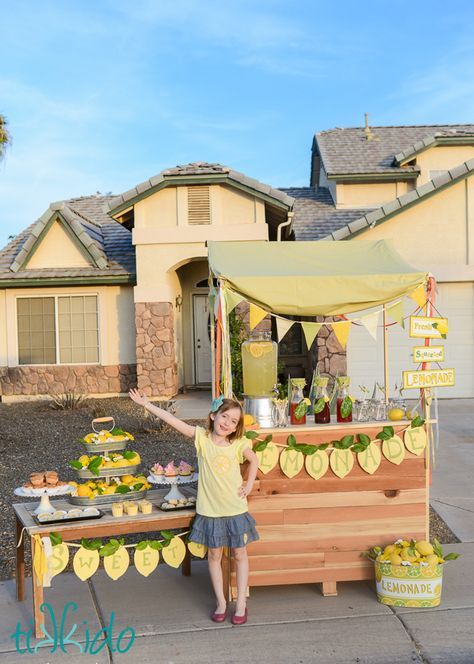 Lemonade Stand in Summer