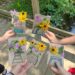 Nature Crafts Are Perfect for Summer Fun
