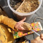 DIY Bird Feeder For Kids Activities in Summer
