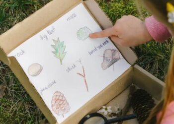 Nature Scavenger Hunt Ideas for Summer