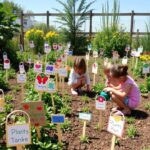 Gardening Activities for Little Kids in Summer