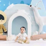 Arctic Animals Winter Party Ideas