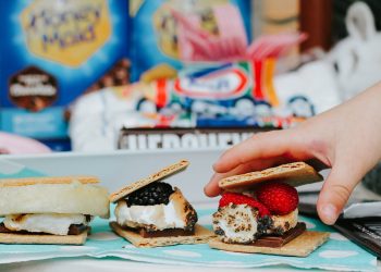 Smores Indoors Party Ideas for Family 1