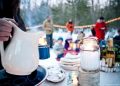 Winter Picnic Party at Home Ideas 1