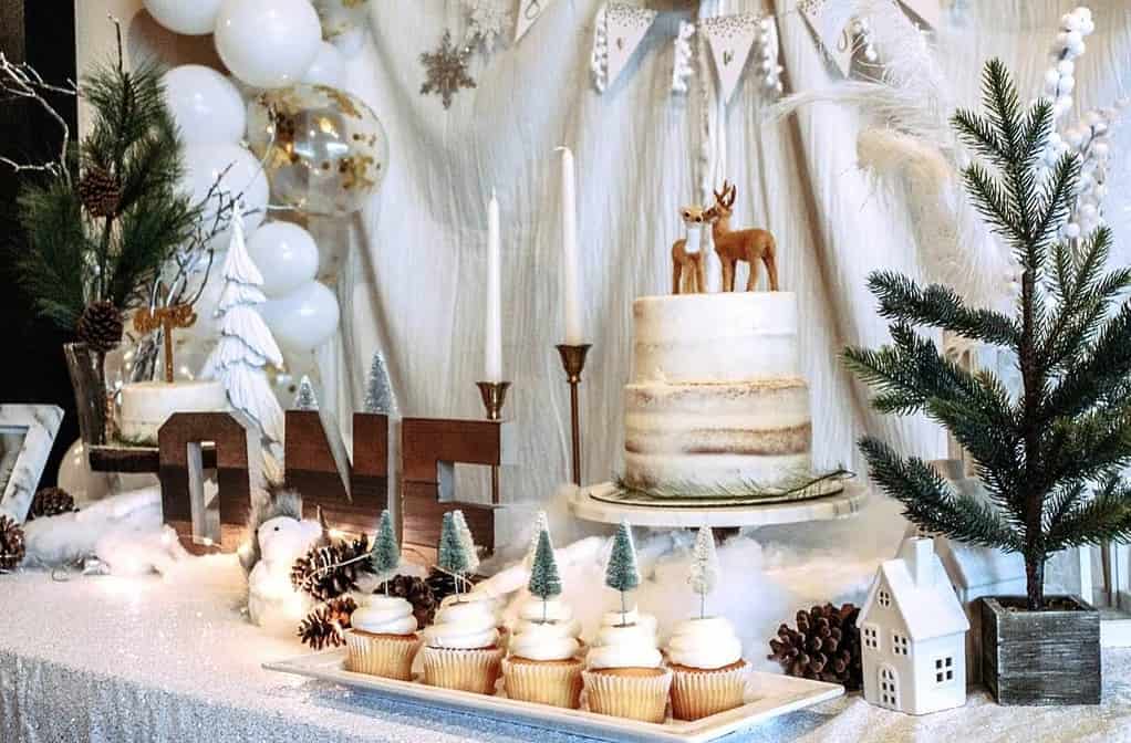 Winter Wonderland Birthday Party Ideas 1