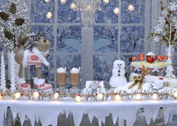 Winter Wonderland Party at Home Ideas