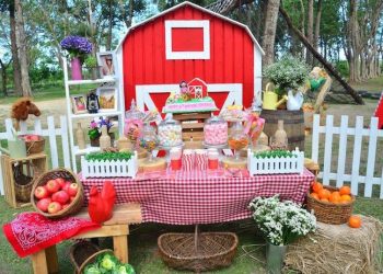 Barnyard Chic Birthday Party Theme 2