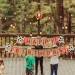 Eco-Friendly Birthday Themes 2