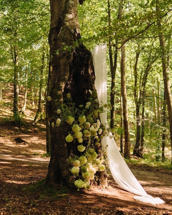 Enchanted Forest Wedding