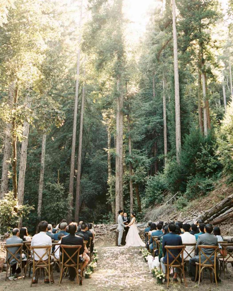 Forest Woodland Wedding