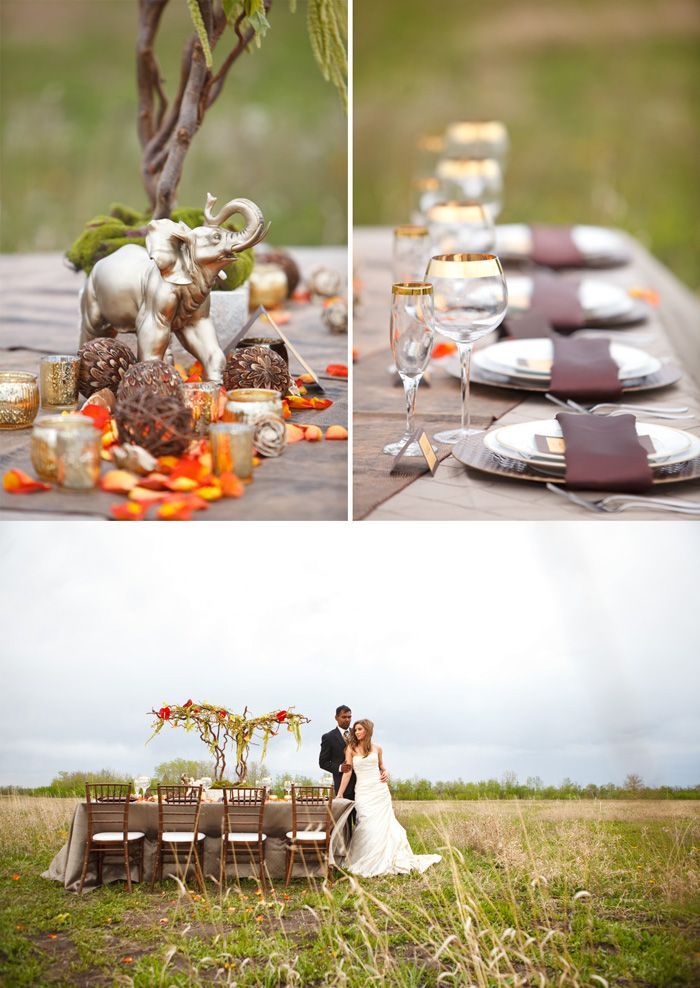 Safari Wedding Ideas