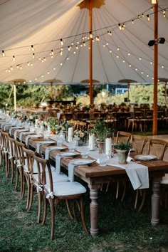 Safari Wedding Ideas