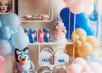 Bluey Party
