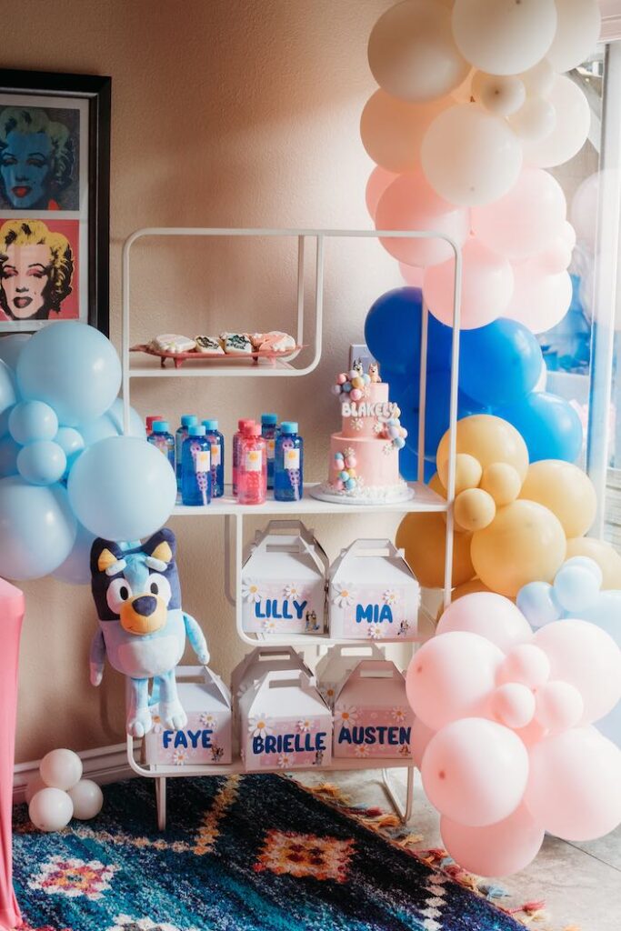Bluey Party