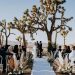 Desert Wedding Ideas