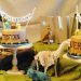 Dino Jungle Birthday Invitations 7