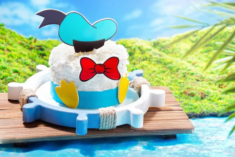 Donald Duck Party