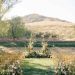 Meadow Calm Wedding