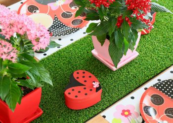 Miraculous Ladybug Birthday party ideas 6