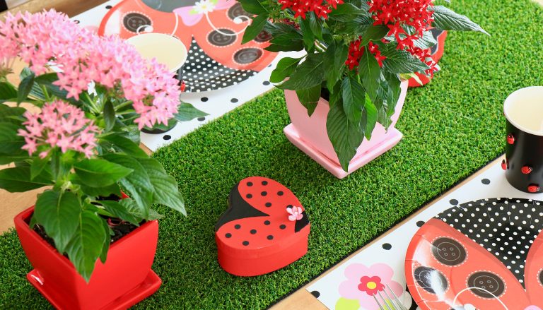 Miraculous Ladybug Birthday party ideas 6