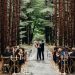 Natural Harmony Wedding