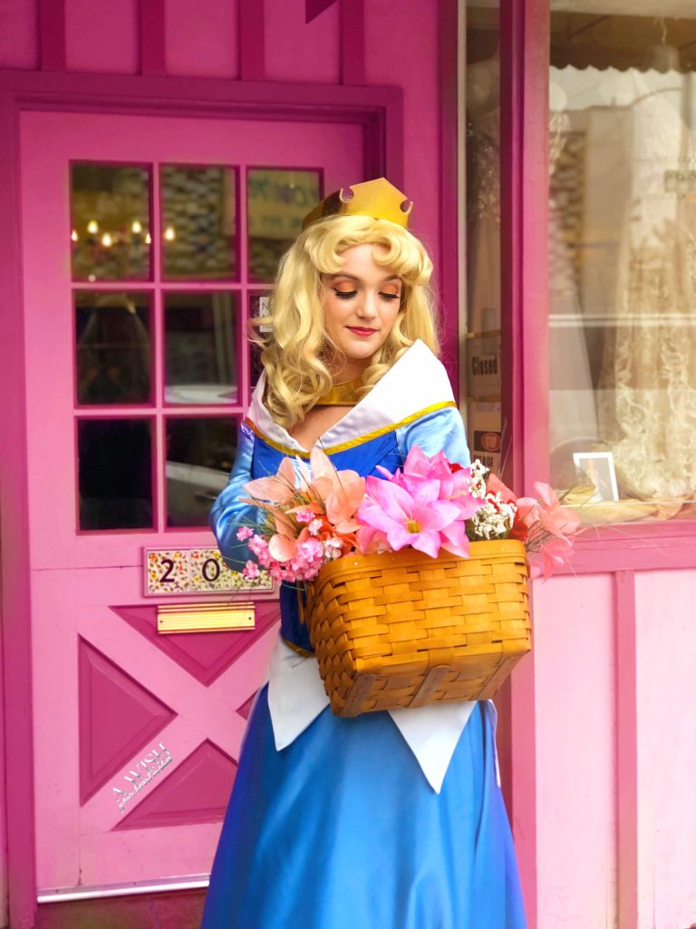 Princess Aurora Birthday