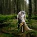 Soft Gothic Wedding Ideas