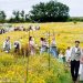 Wildflower Wedding Ideas