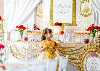 disney belle birthday party ideas