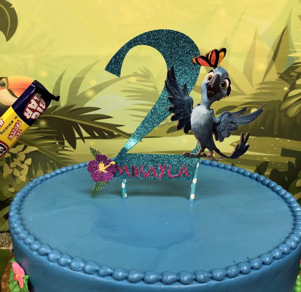 disney rio birthday party ideas 8