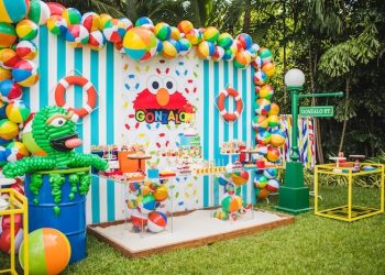 elmo birthday party ideas